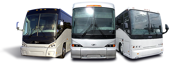 Sports Team Charter Bus & Minibus Rental